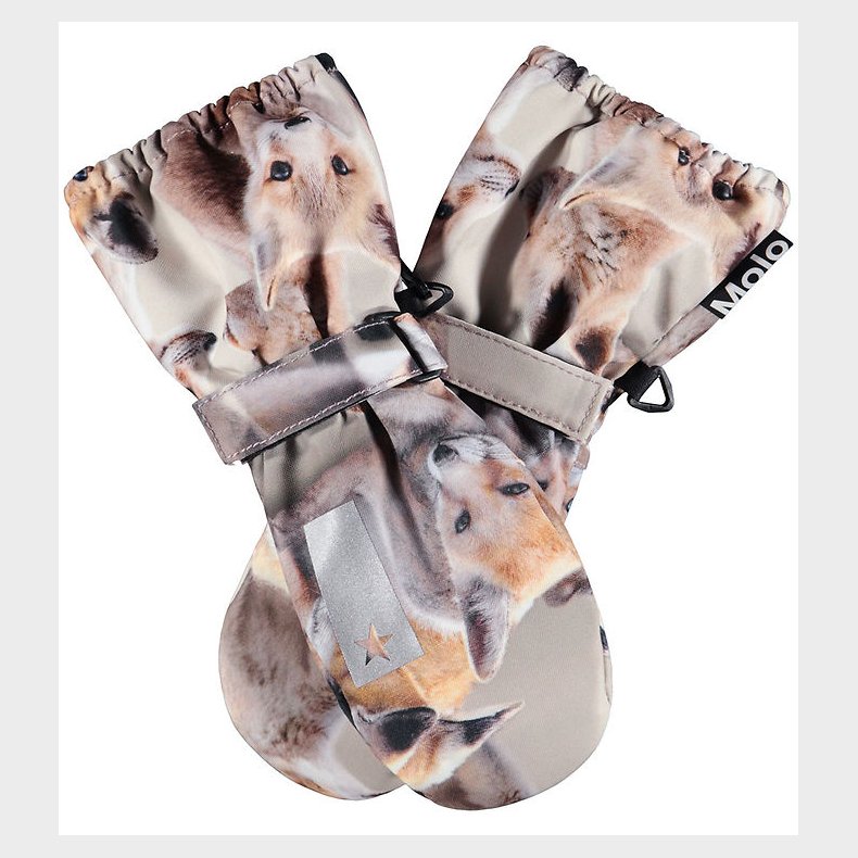 Molo Luffer - Igor - Playing Foxes