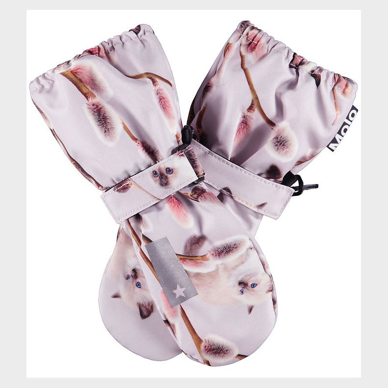 Molo Luffer - Igor - Willow Kitten