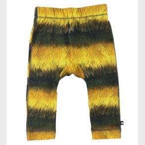 Molo Bukser - Seb - Bee