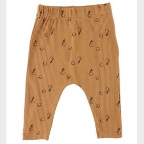 Fixoni Bukser - Lion