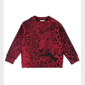 Dolce & Gabbana Sweatshirt - Animalier - Rd Leo