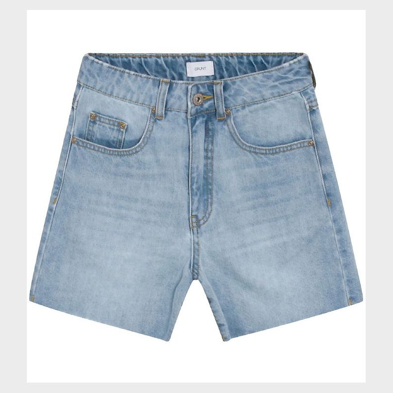 Grunt Shorts - 90s - Globe Blue
