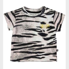 Molo T-shirt - Emilio - Tiger White