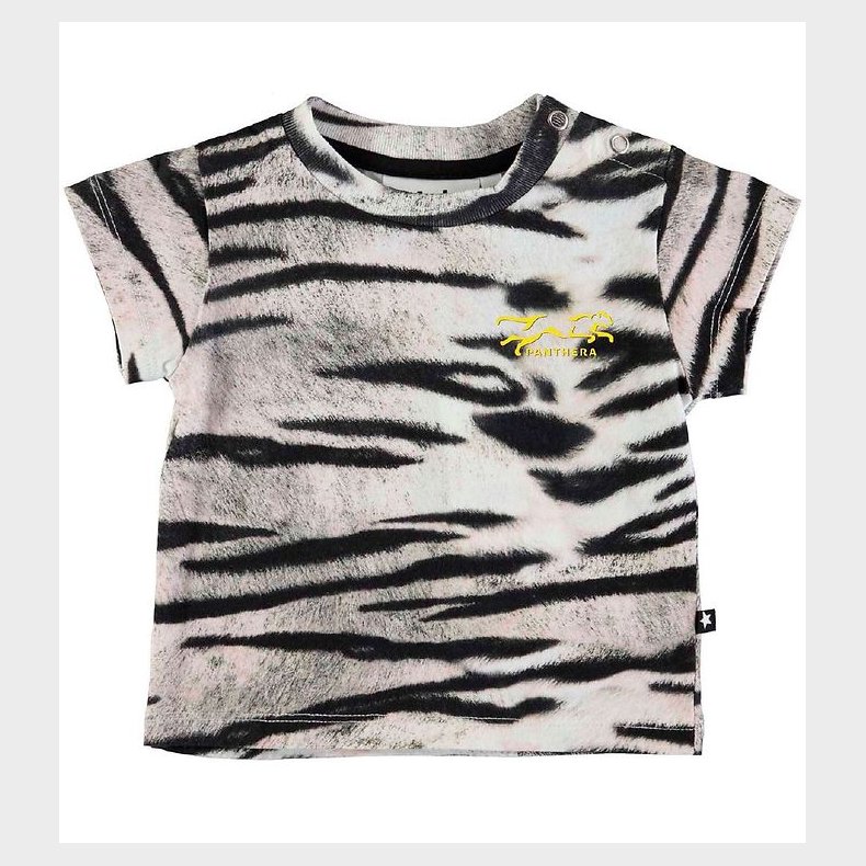 Molo T-shirt - Emilio - Tiger White