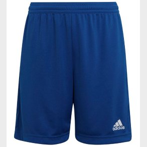 adidas Performance Shorts - Bl/Hvid