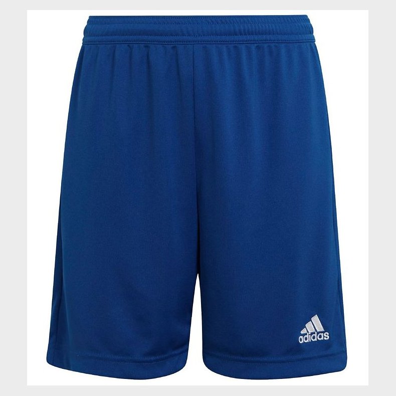 adidas Performance Shorts - Bl/Hvid