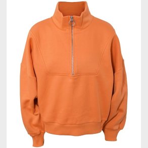 Hound Sweatshirt - Zip - Apricot