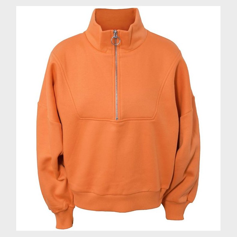 Hound Sweatshirt - Zip - Apricot