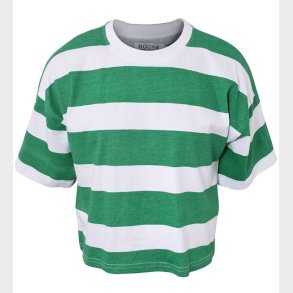 Hound T-shirt - Crop - Power Green