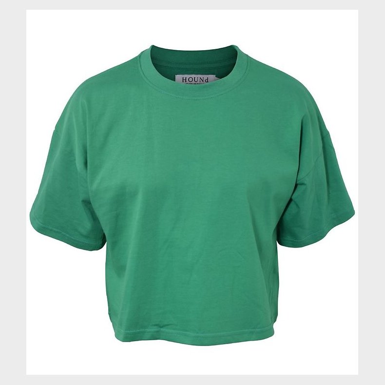 Hound T-shirt - Crop - Power Green