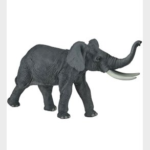 Papo Afrikans Elefant - H: 19 cm