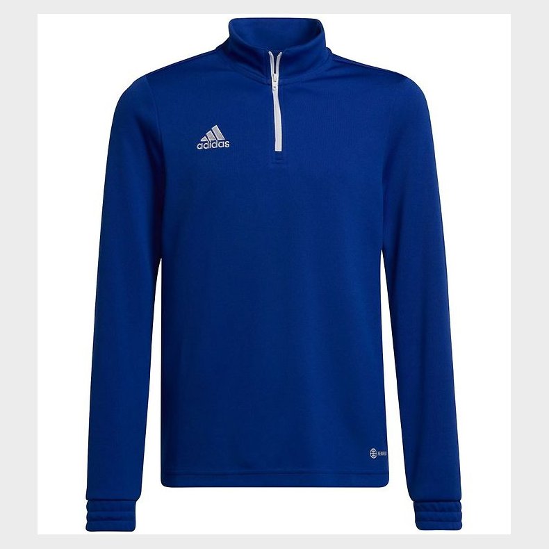adidas Performance Trningstrje - Royal Blue