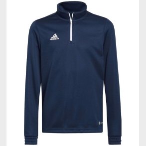 adidas Performance Bluse - Entrada 22 - Team Navy Blue 2