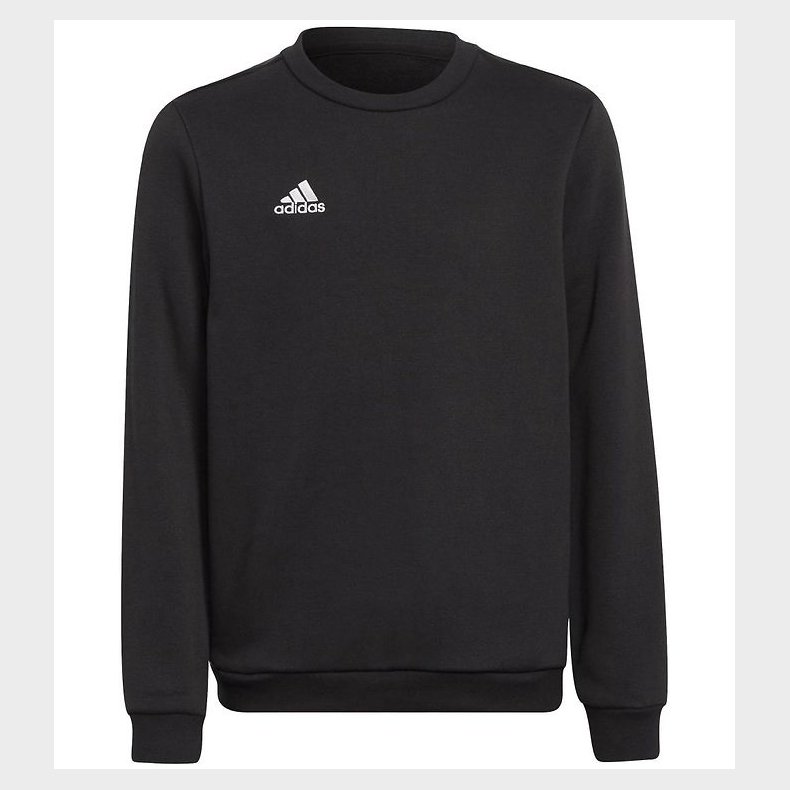 adidas Performance Sweatshirt - Entrada 22 - Sort