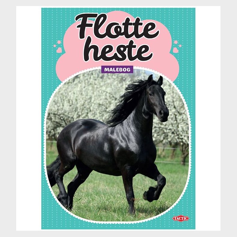 TACTIC Malebog - Flotte Heste