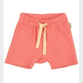 Petit Piao Shorts - Modal - Dark Peach