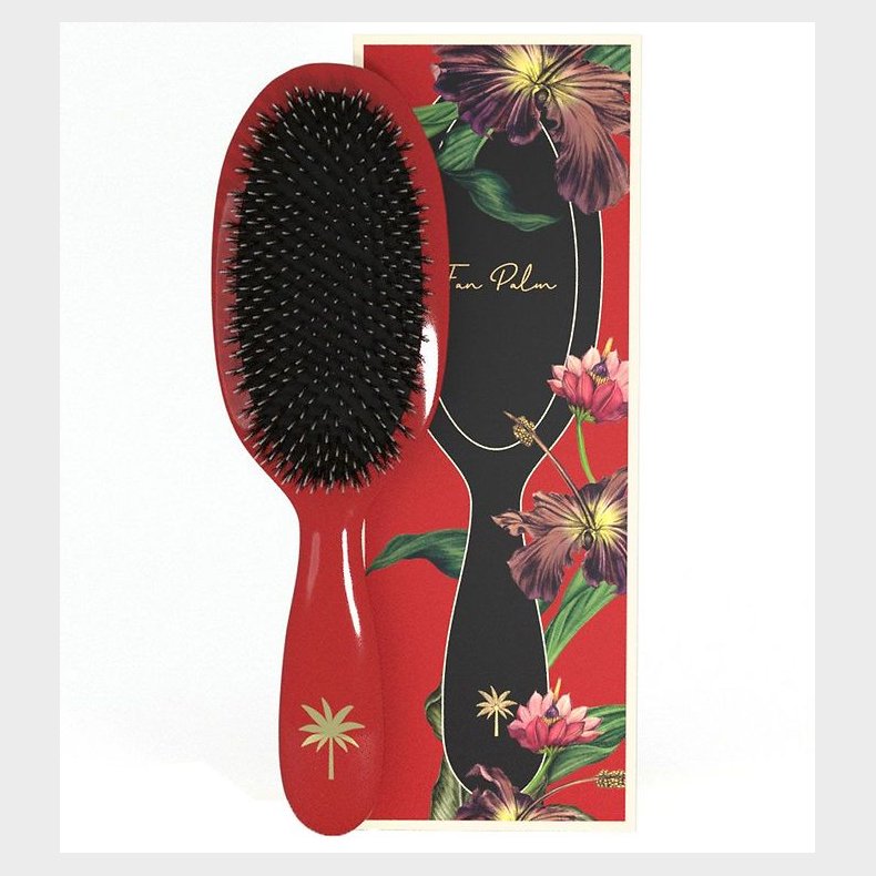 Fan Palm Hrbrste - Medium - Red Poppy