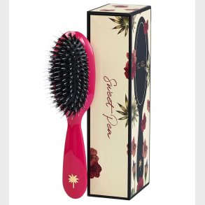 Fan Palm Hrbrste - Small - Sweet Pea