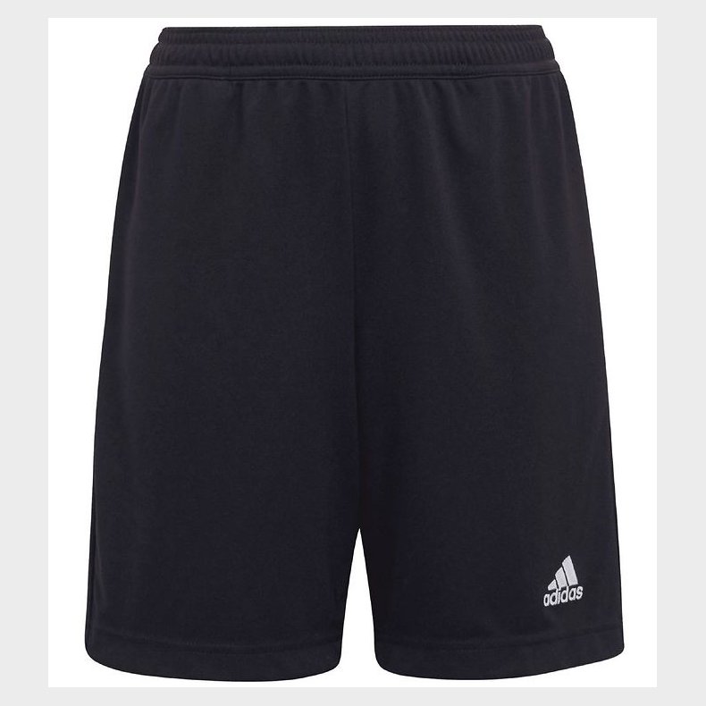 adidas Performance Shorts - Entrada 22 - Sort