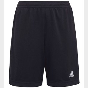 adidas Performance Shorts - Entrada 22 - Sort