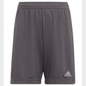 adidas Performance Shorts - Entrada 22 - Gr