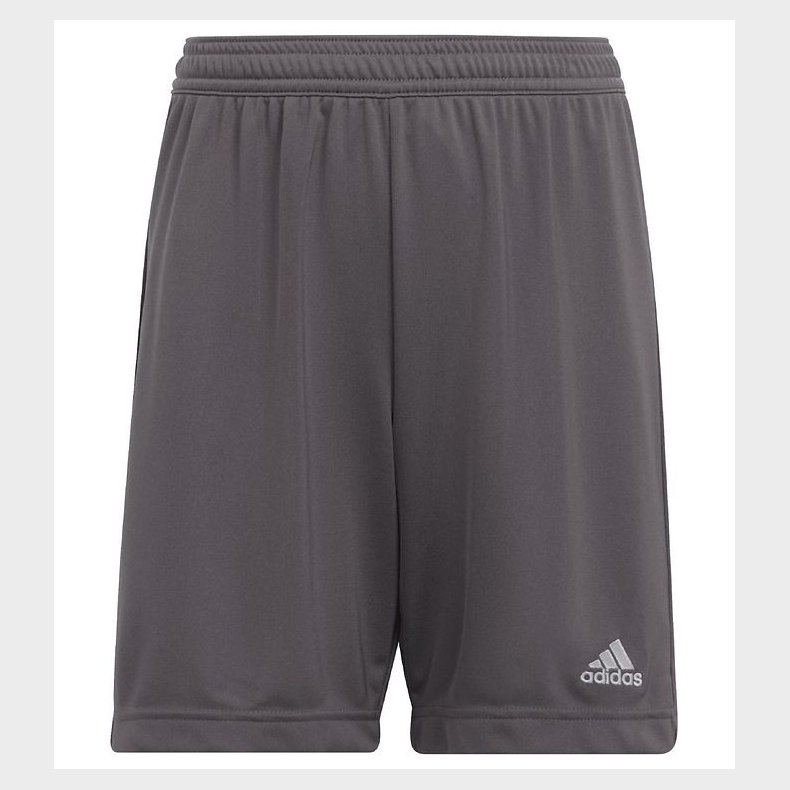 adidas Performance Shorts - Entrada 22 - Gr