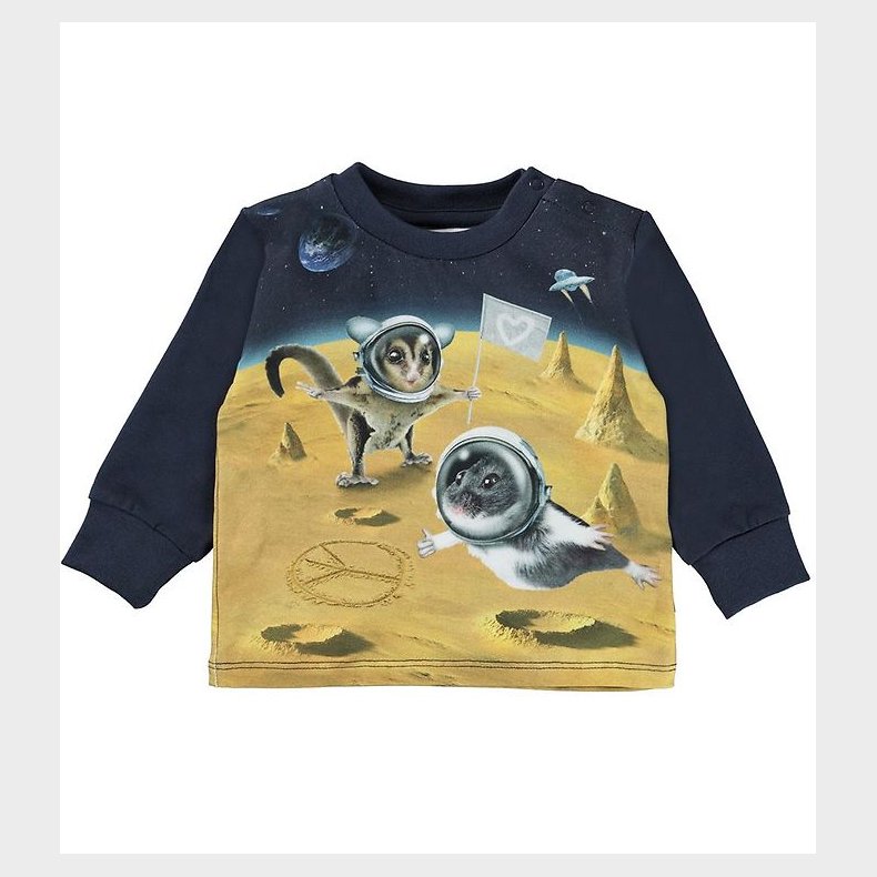 Molo Bluse - Eloy - Kawaii Universe