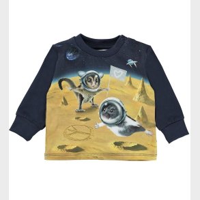 Molo Bluse - Eloy - Kawaii Universe