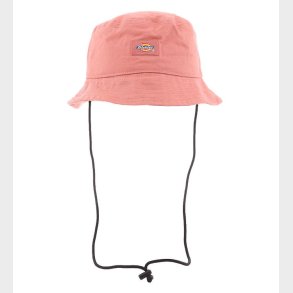 Dickies Bllehat - Clarks Grove - Rosa