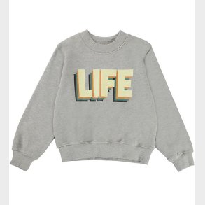 Molo Sweatshirt - Marge - Greymelange Life