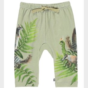 Molo Bukser - Sabb - Fern Climbers