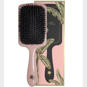 Fan Palm Hrbrste - Large - Double Bloom