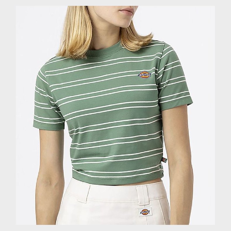Dickies T-shirt - Cropped - Westover - Dark Ivy m. Striber