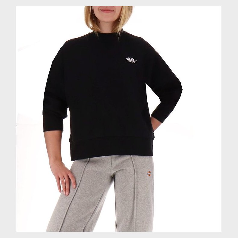 Dickies Sweatshirt - Summerdale - Sort