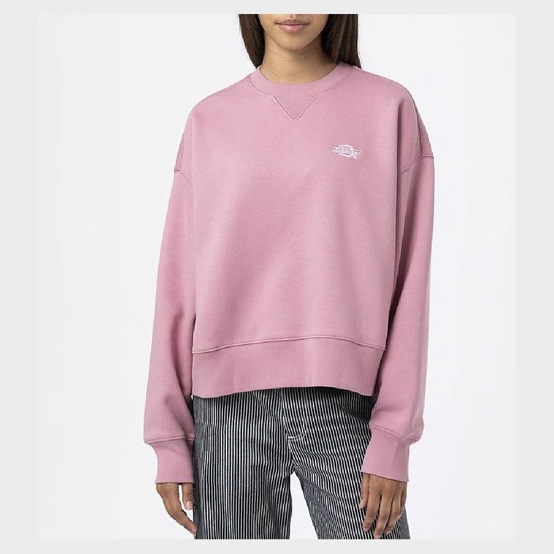 Dickies Sweatshirt - Summerdale - Foxglove