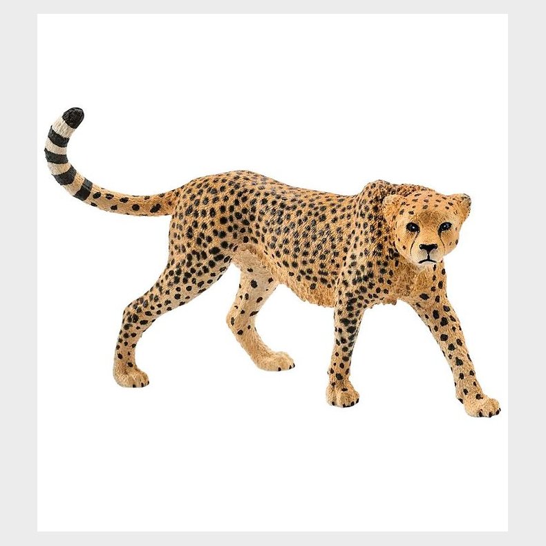 Schleich Wild Life - H: 5 cm - Gepard 14746