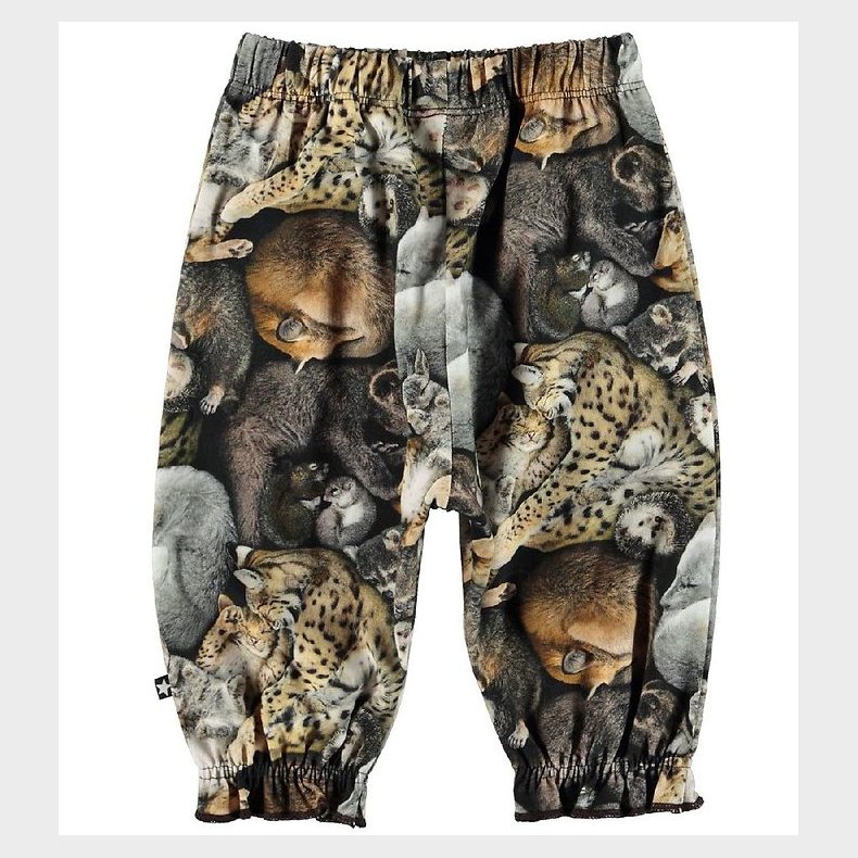 Molo Bukser - Selena - Hibernation