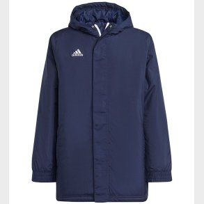 adidas Performance Dynejakke - ENT22 STAD - Navy