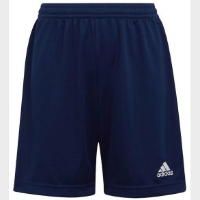 adidas Performance Shorts - ENTRADA 22 - Bl