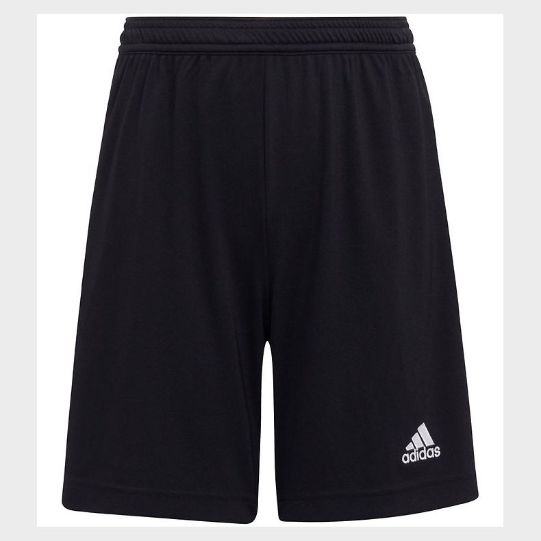 adidas Performance Shorts - ENT22 - Sort