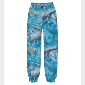 Molo Regnbukser - Waits - Big Ancient Sea