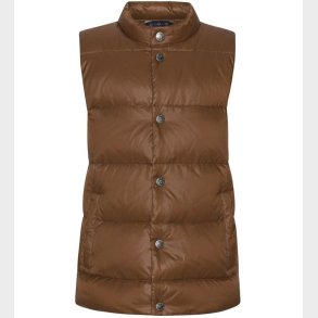 Ver de Terre Dunvest - Brownie