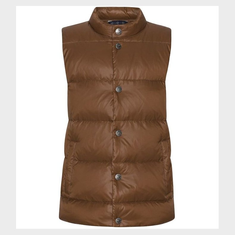 Ver de Terre Dunvest - Brownie