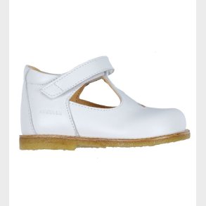 Angulus Begyndersko - Hvid