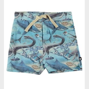 Molo Shorts - Simroy - Ancient Ocean