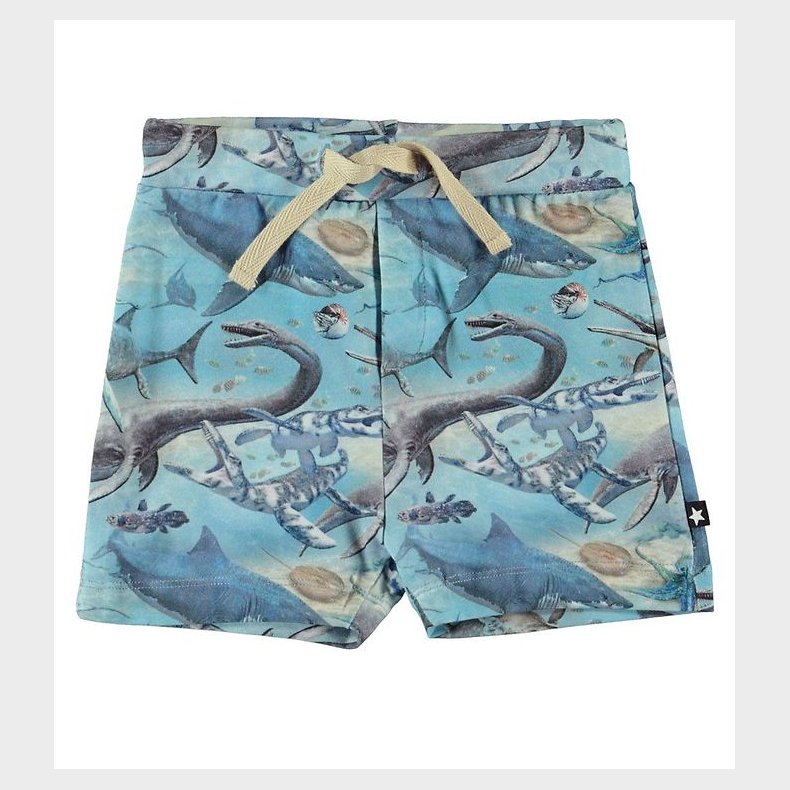 Molo Shorts - Simroy - Ancient Ocean