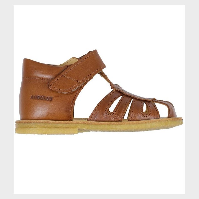 Angulus Begyndersandal - Cognac