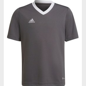 adidas Performance T-Shirt - ENT22 JSYY - Gr�/Hvid