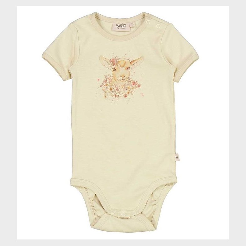 Wheat Body k/ - Flower Lamb - Clam