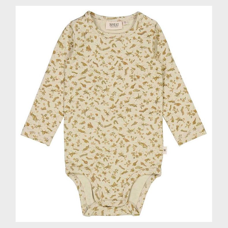 Wheat Body l/ - Fossil Insects